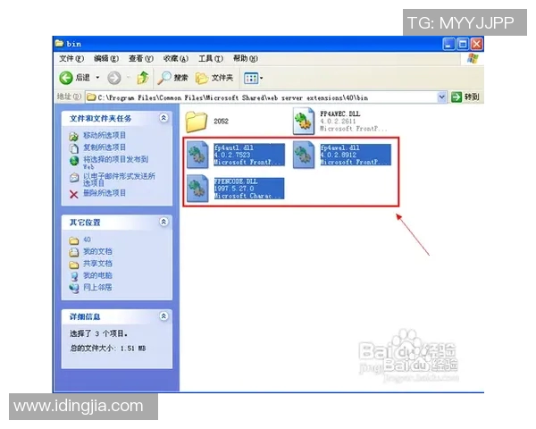 如何在Windows系统中顺利安装VS2008BCG控件并解决常见问题