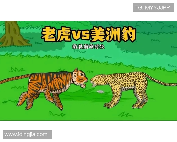 维快速与莫尔德的精彩对决谁将成为胜利的王者