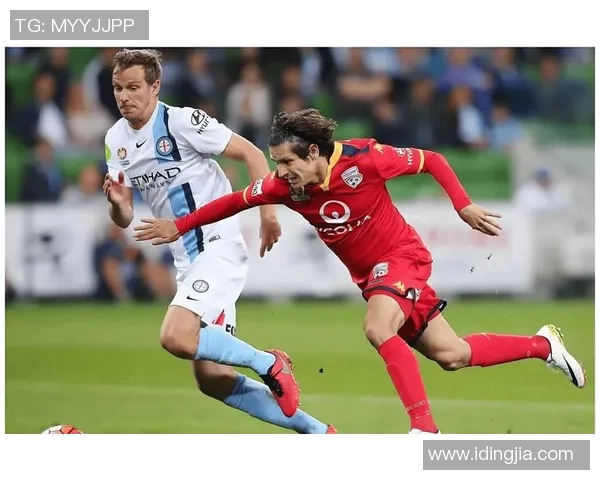 伯明翰对阵利兹联比赛分析与推荐策略分享